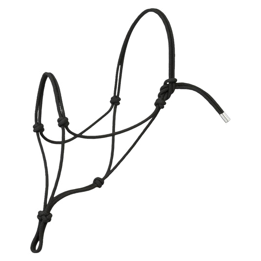 Rope Halter with black lead