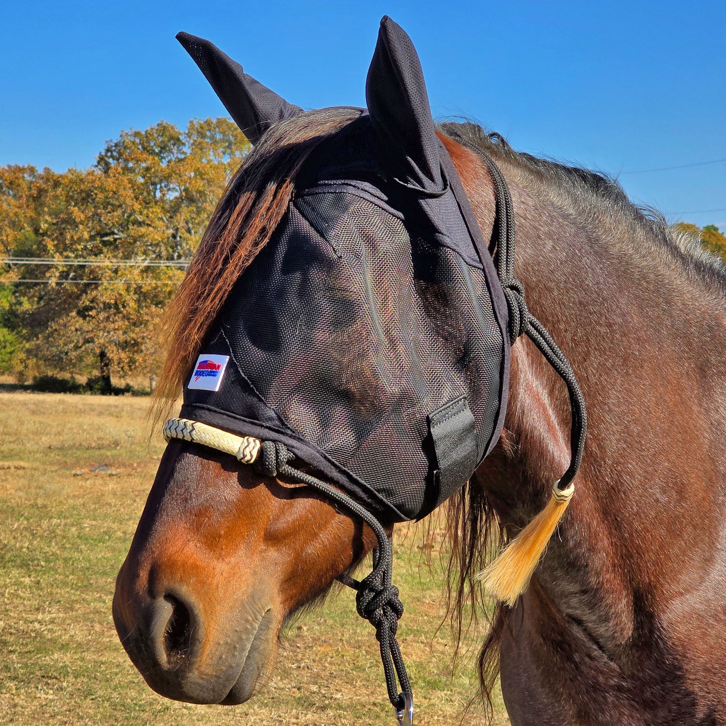 Fly Mask Side View