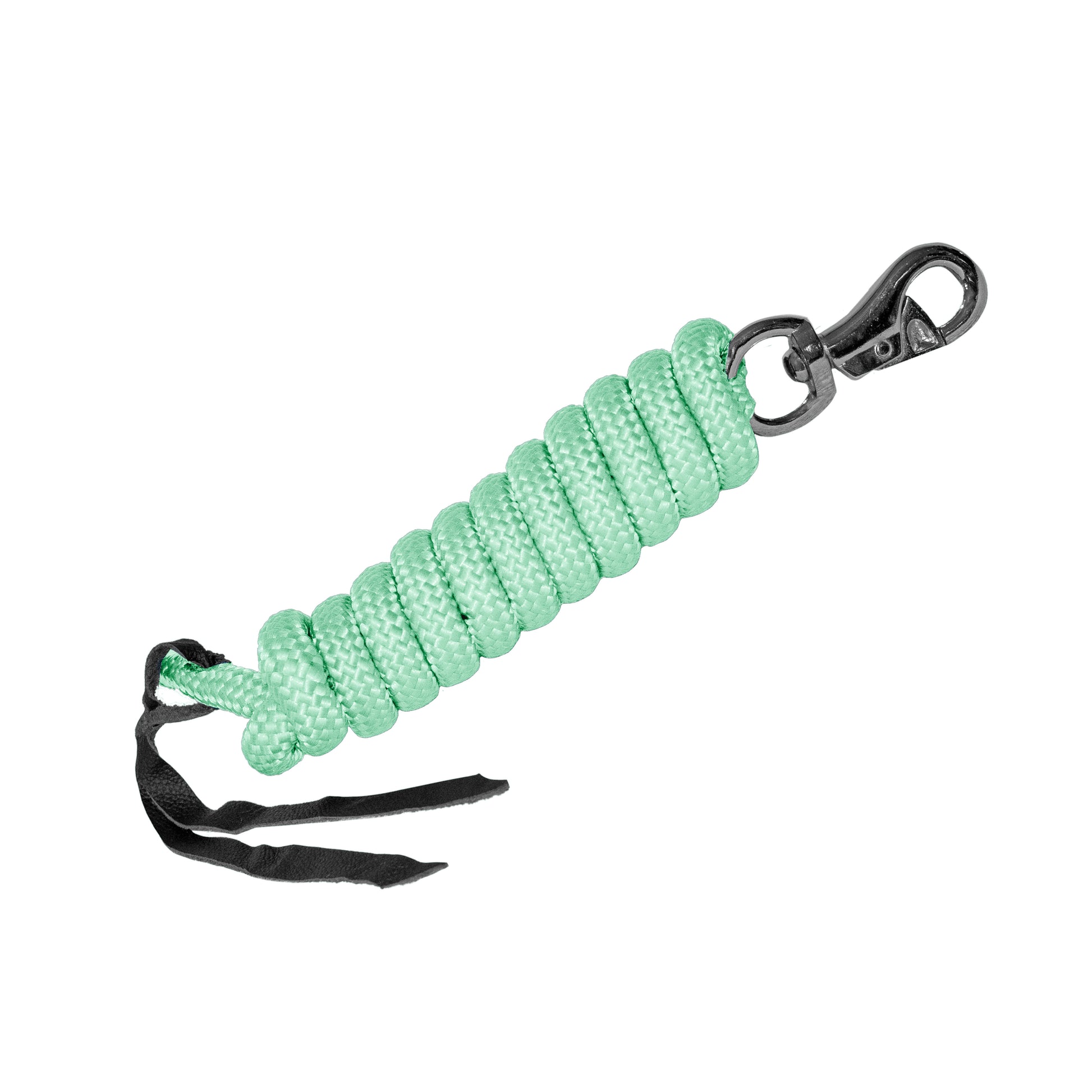 Light Green Lead Rope with Clip tied in a coil