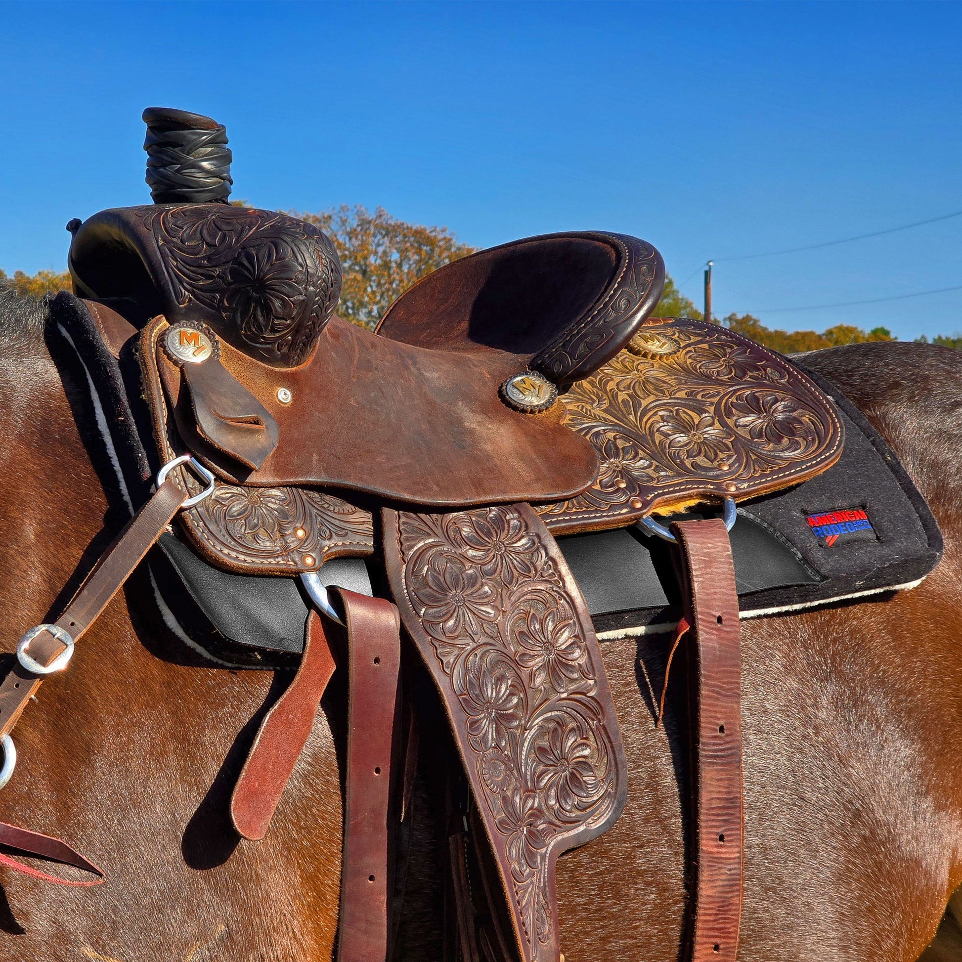 Deluxe Black Saddle Pad on Horse