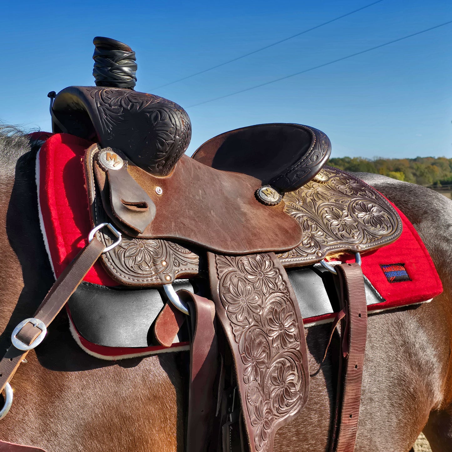 Deluxe Red Saddle Pad on Horse