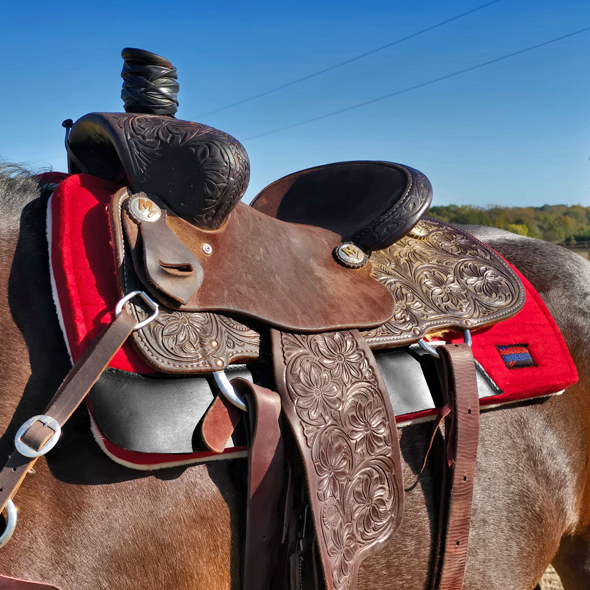Deluxe Red Saddle Pad on Horse
